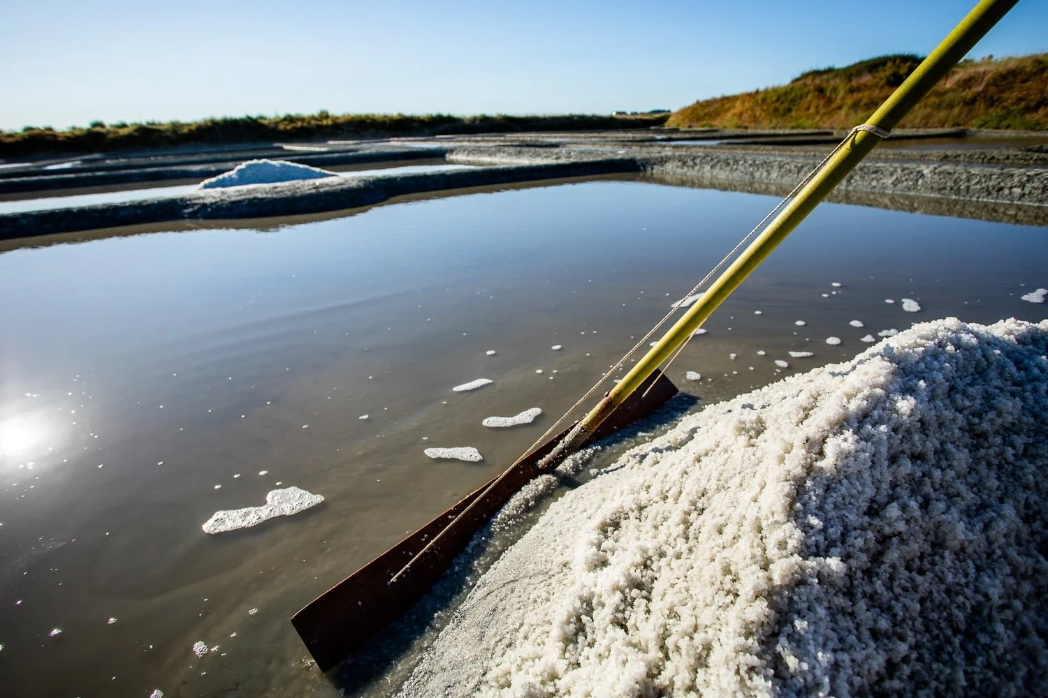 Tas de fleur de sel au premier plan avec derrière un marais salant de Guérande