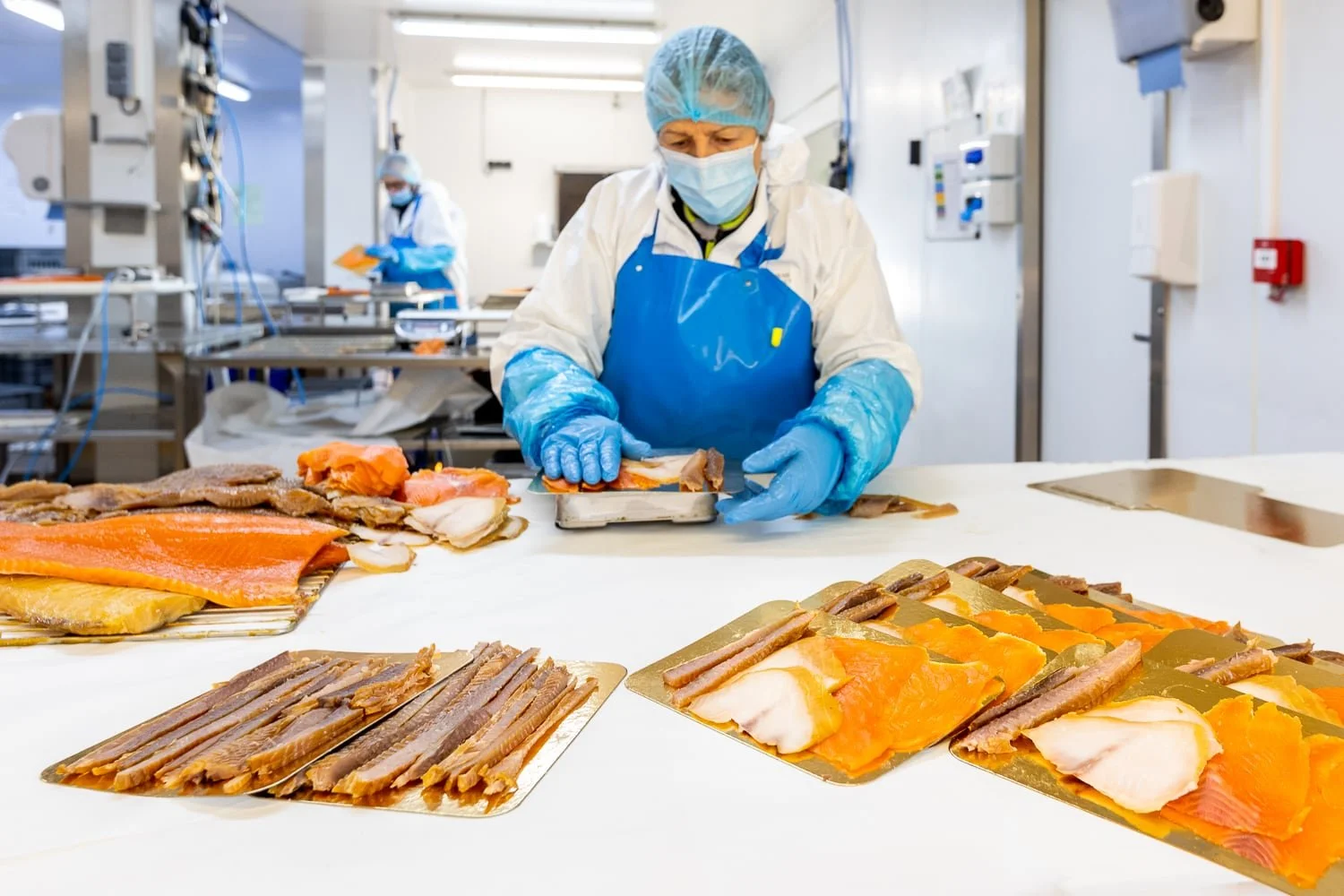 Photographe agroalimentaire – étape de conditionnement du poisson