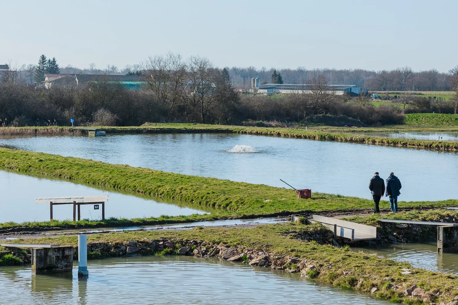 Exploitation piscicole au cœur des étangs de la Dombes