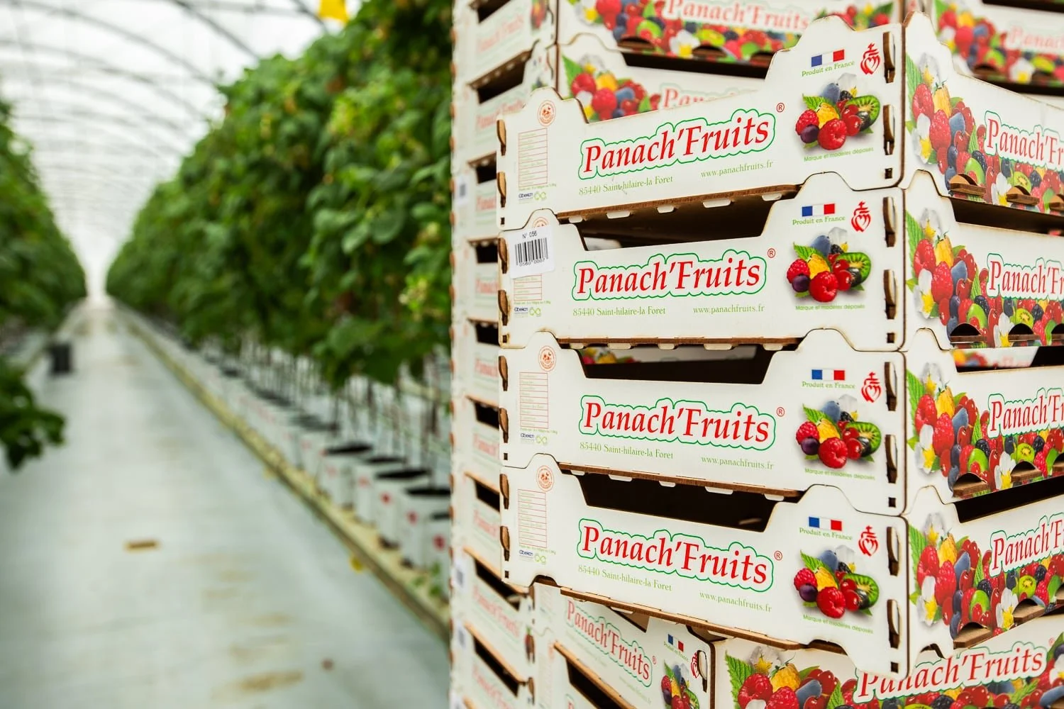 photographe agriculture Paris 75 producteur locaux fruits 10.jpg