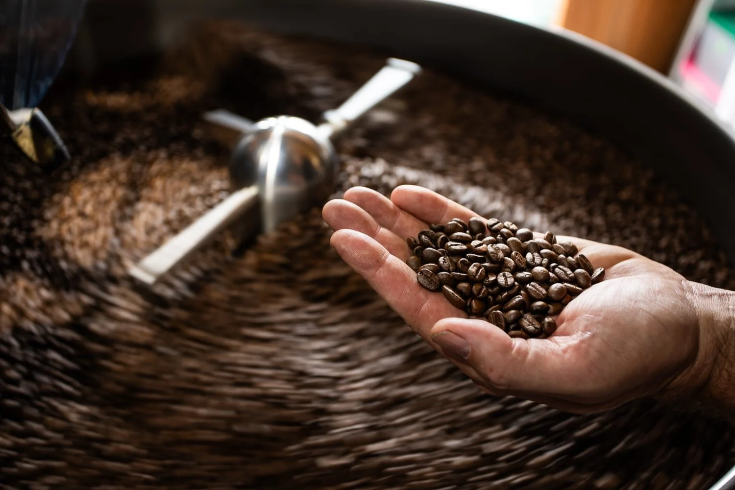 Photographe agriculture – grains de café fraichement torréfiés devant le torréfacteur