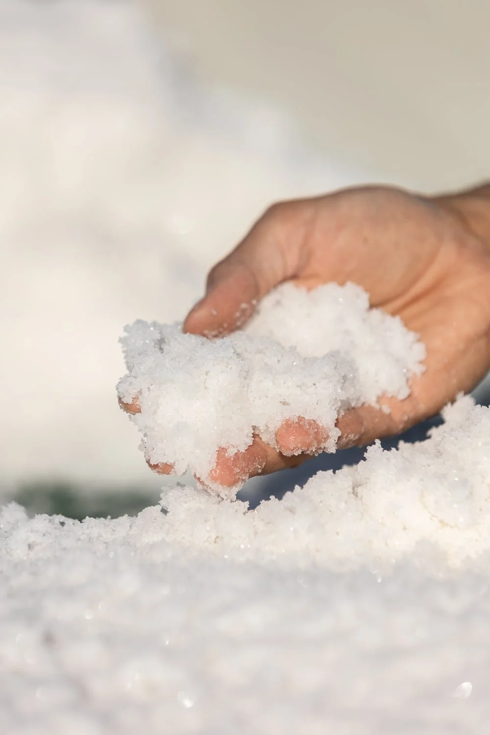 Gros plan sur la main d’un paludier tenant du sel de Guérande.