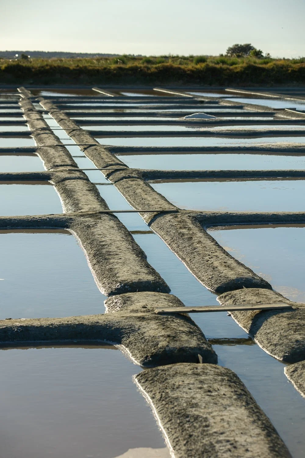 Alignement des bassins d'un marais salant de Guérande
