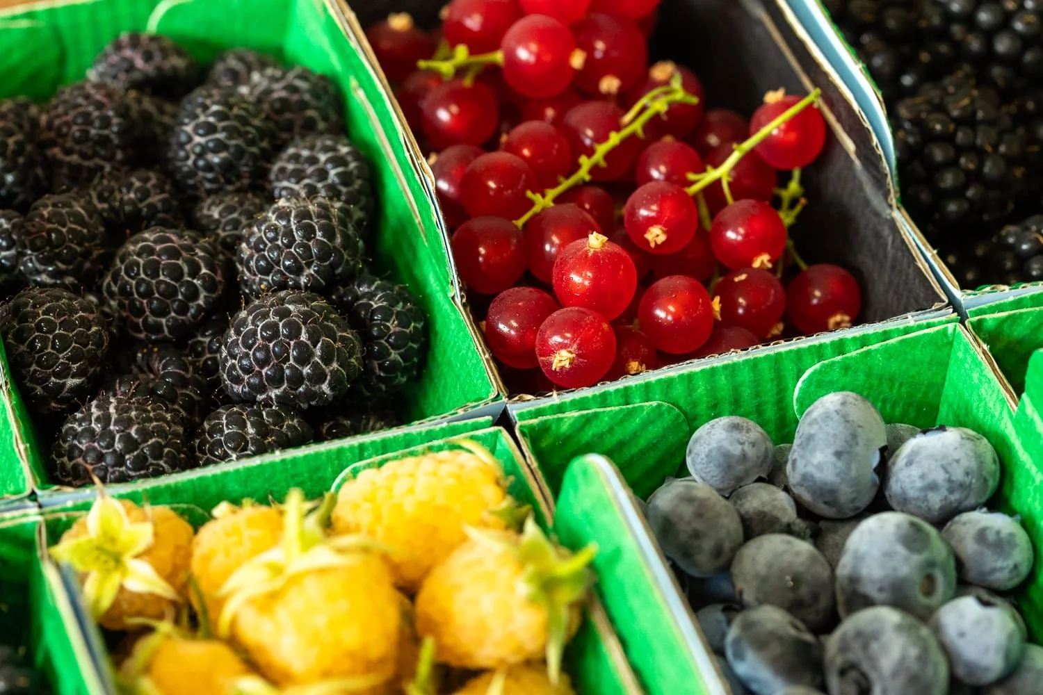 Fruits rouges conditionnées en barquette chez Panach'fruits