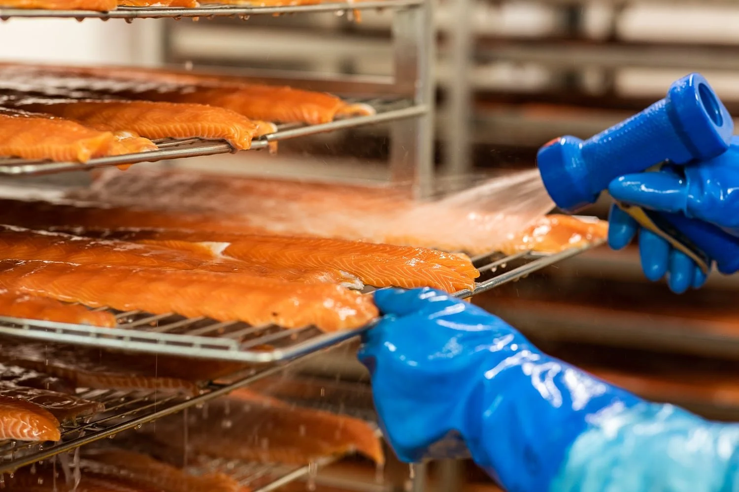 Arrosage du poisson pendant l'étape de salaison