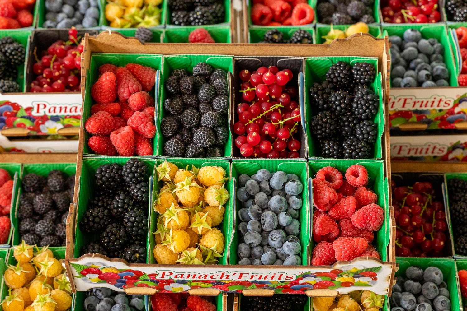 Gamme de fruits rouges fraichement cueillis chez Panachfruits