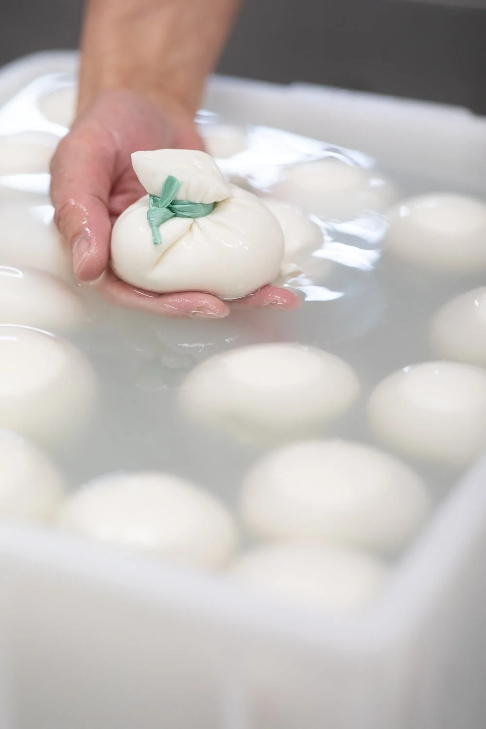 Mozzarella artisanale Mozzareine en saumure 