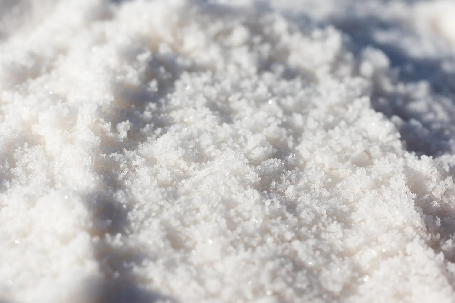 Gros plan sur les cristaux de sel de Guérande dans les marais salants