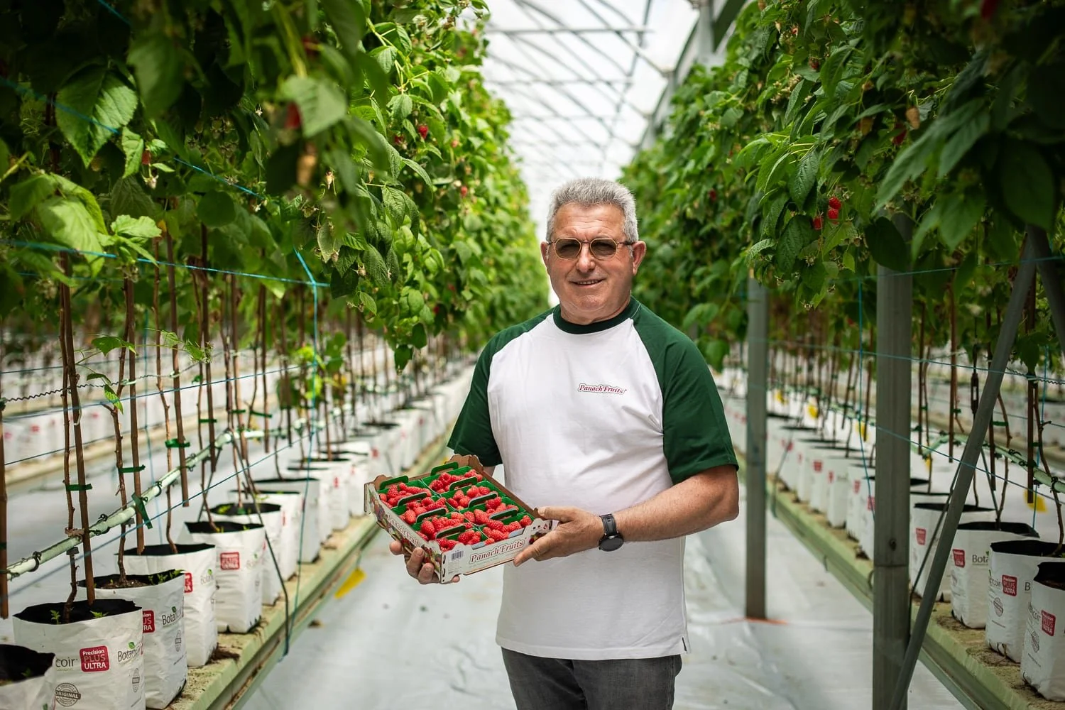 Portrait du producteur de fruits rouge de l'entreprise Panach'Fruits