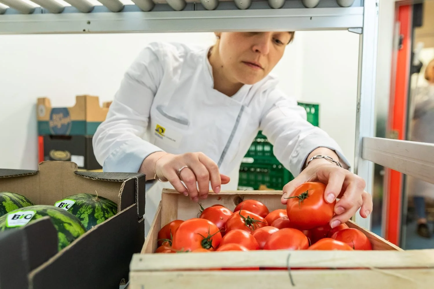 Sélection des tomates avant préparation des repas pour un ehpad 