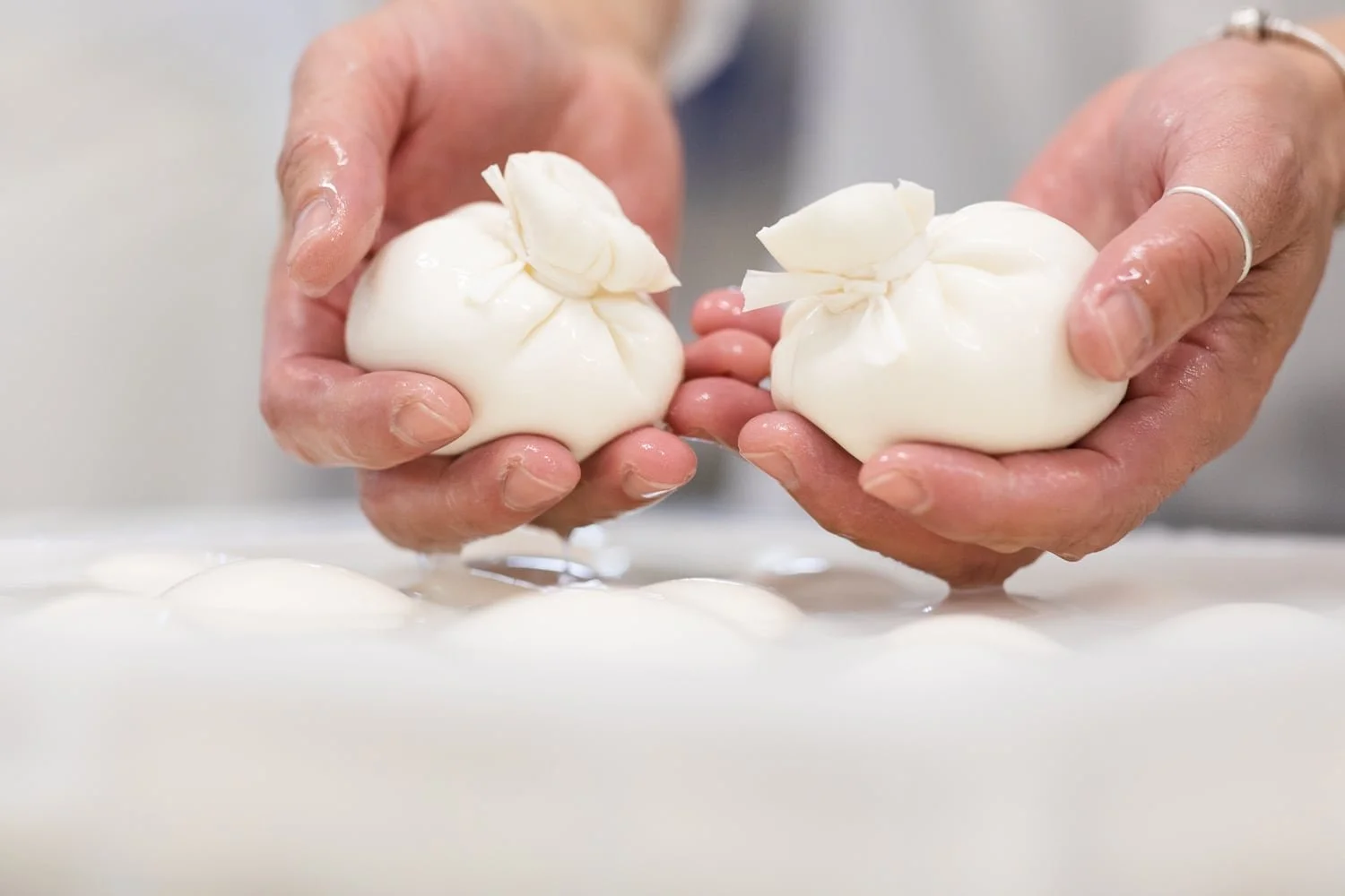 Fromager présentant deux mozzarellas artisanales fraîches Mozzareine