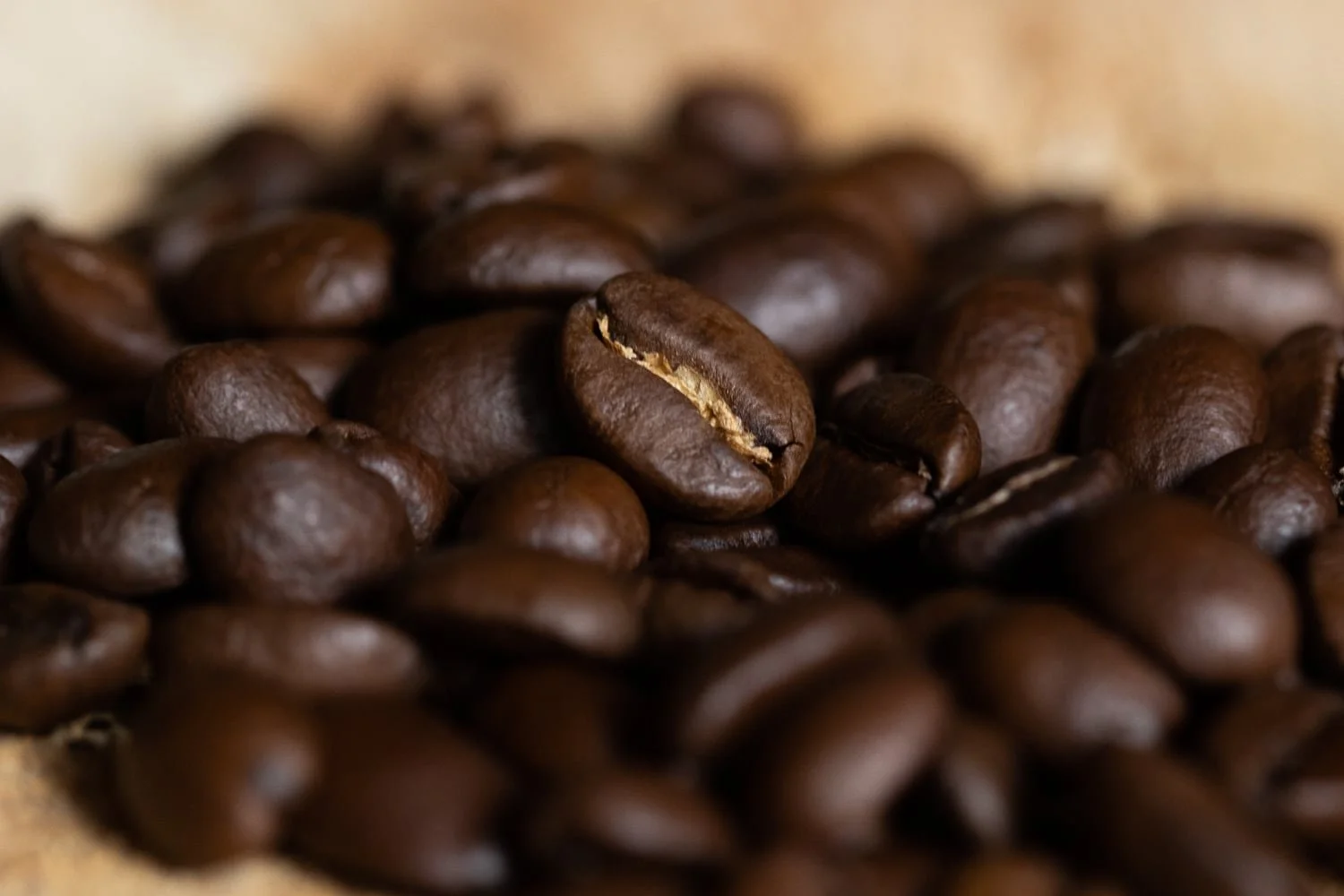 Détail d'un grain de café de la maison Lagrange