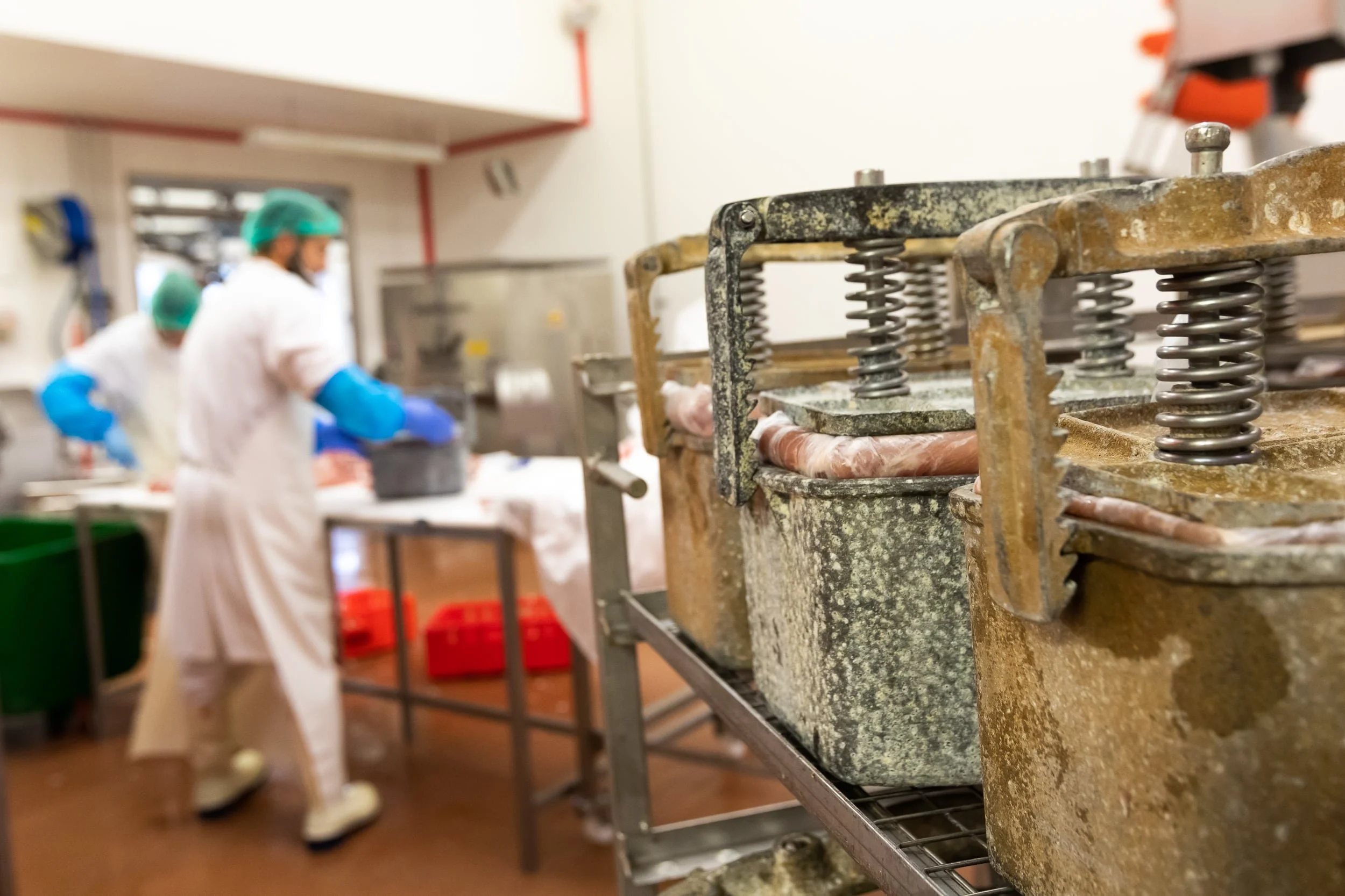 photographe agriculture producteur local jambon 02.jpg