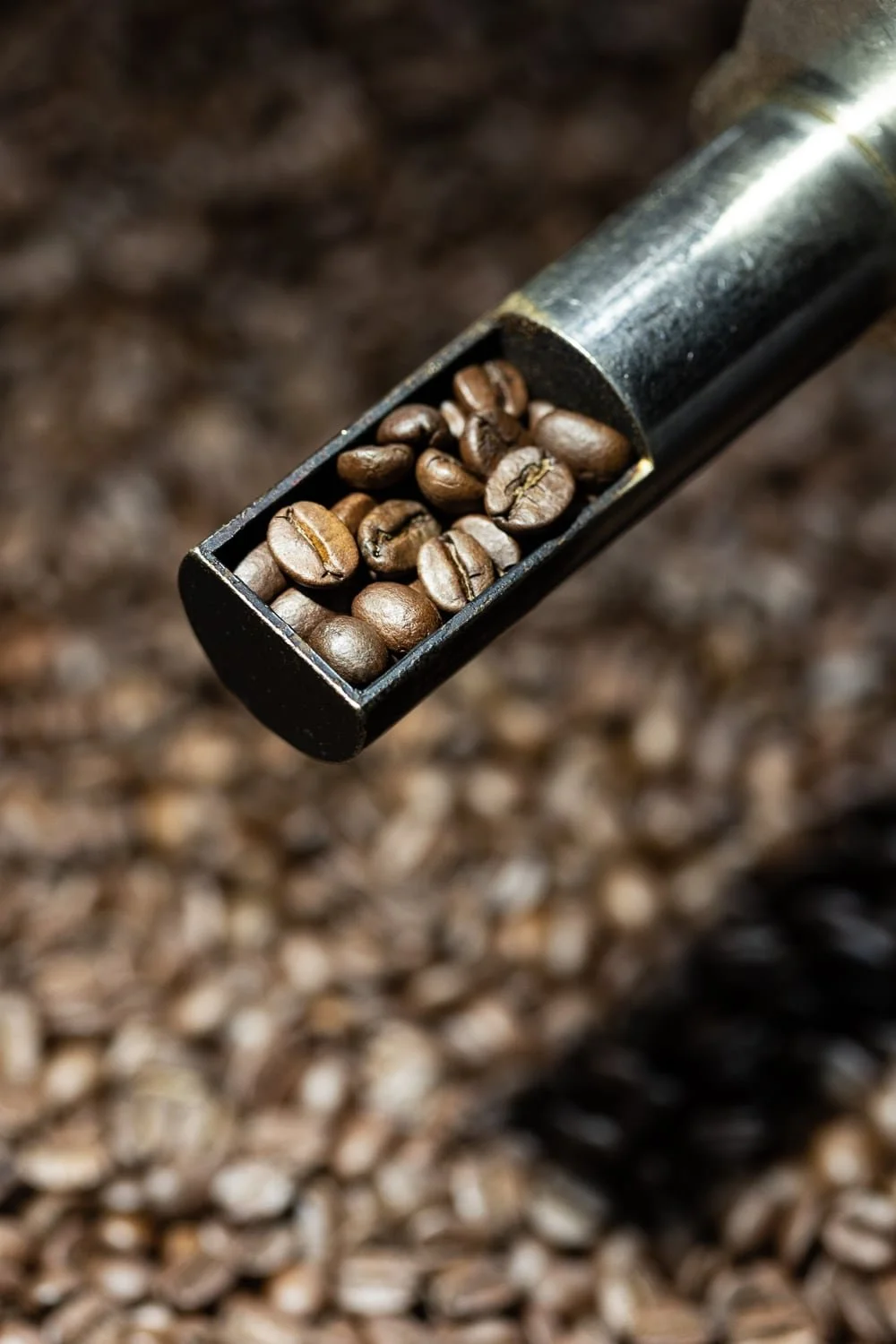 Gros plan sur des grains de café torréfiés dans l’atelier Café Lagrange
