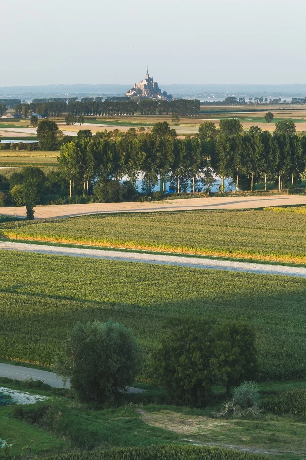Vue sur le Mont St Michel et les cultures des près salés
