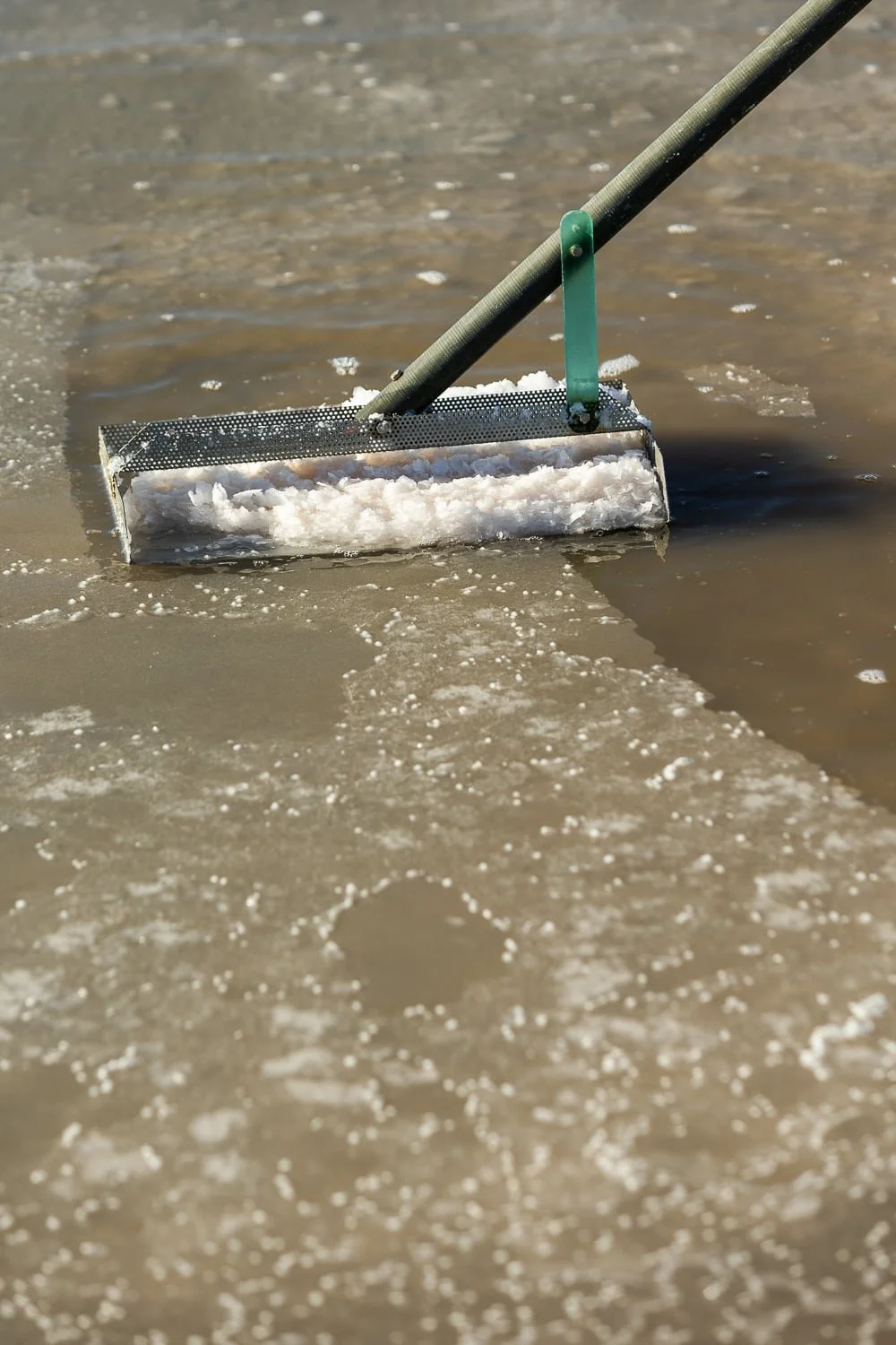 Ramassage de la fleur de sel avec l'outil traditionnel : La lousse à Fleur de sel