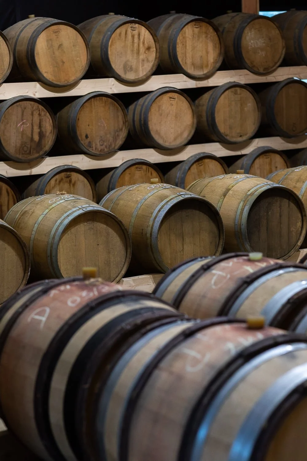 fûts en bois de whisky 
dans un chai de vieillissement