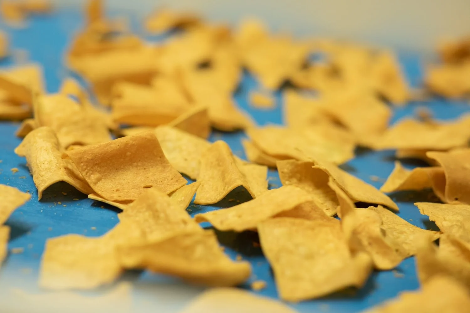 Photographe agriculture : chips sorties de cuisson sur la ligne de production des Socca Chips artisanales 