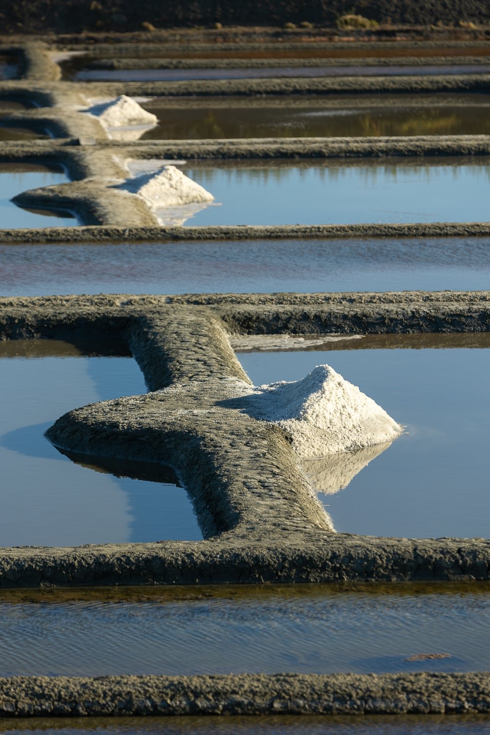 Tas de sel récoltés dans un marais salant à Guérande