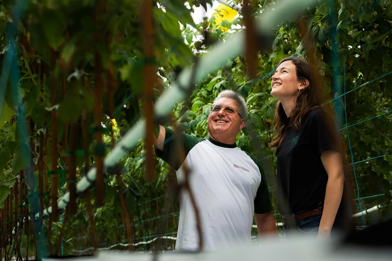 Équipe Panach’Fruits au cœur des cultures de framboise