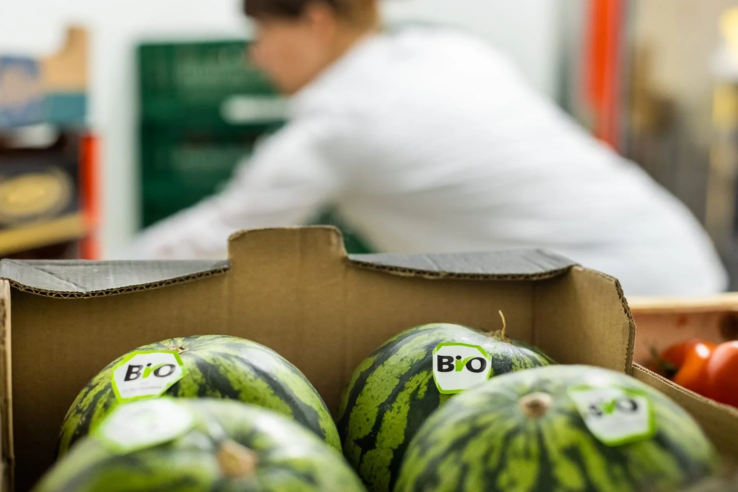 Pastèques bio dans une cagette dans la chambre froide d'une cuisine d
'un établissement ehpad