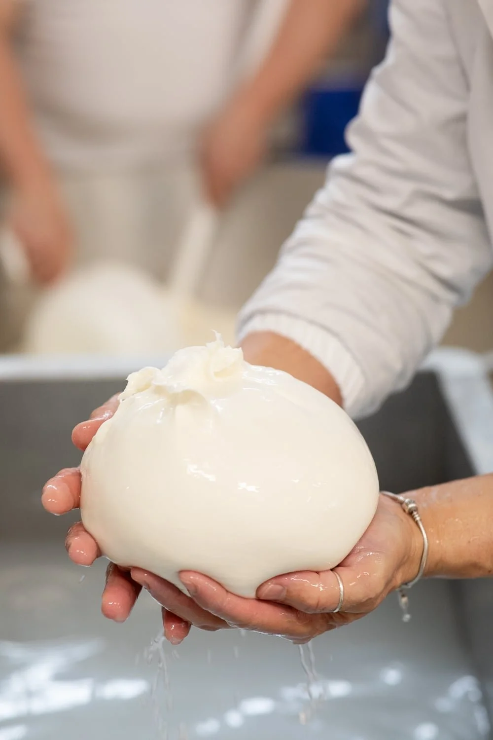 Grosse boule de mozzarella fraîche tenue en main par un artisan formager