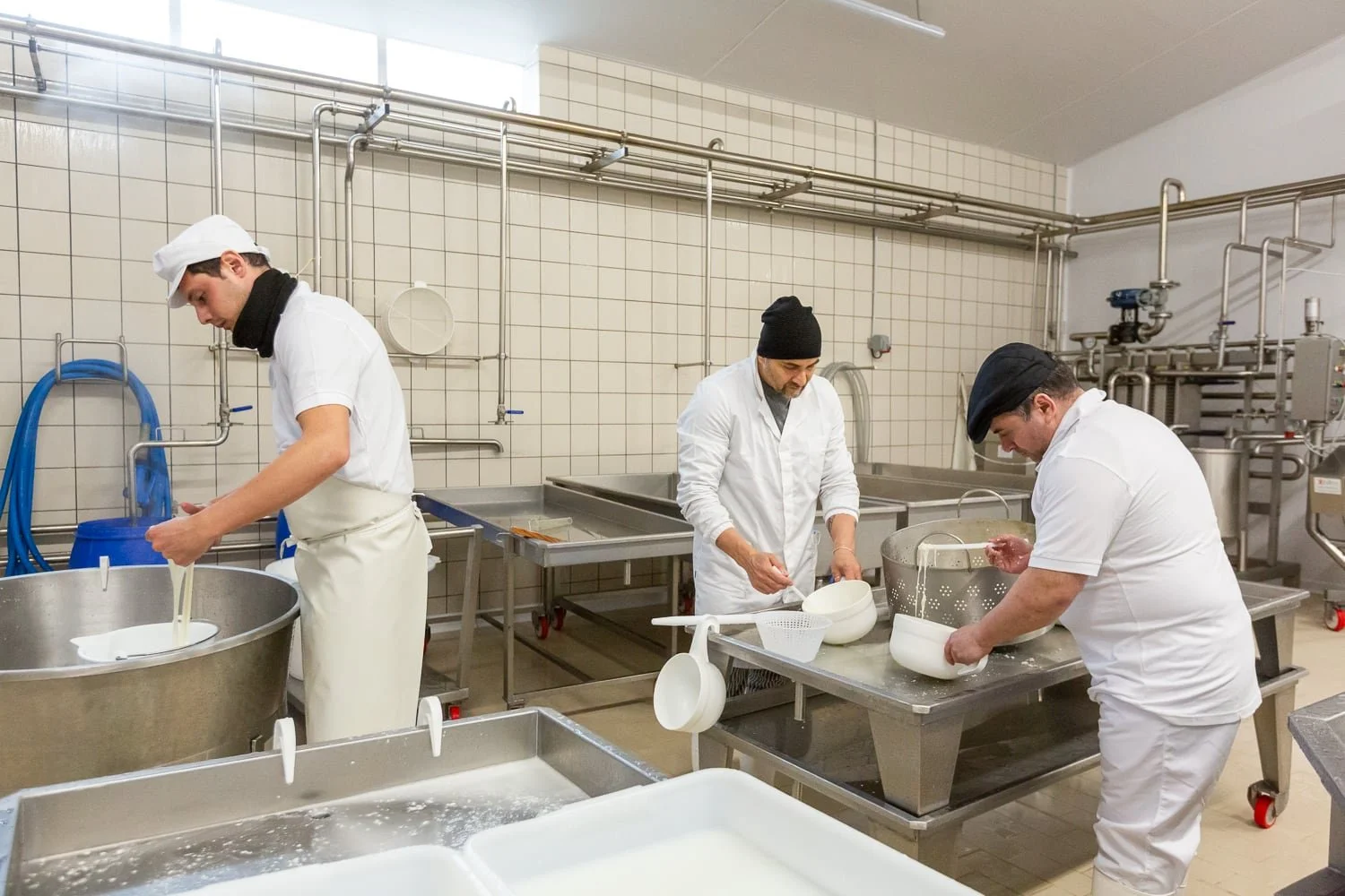 Reportage agroalimentaire – équipe de fromagers en atelier de fabrication de mozzarella