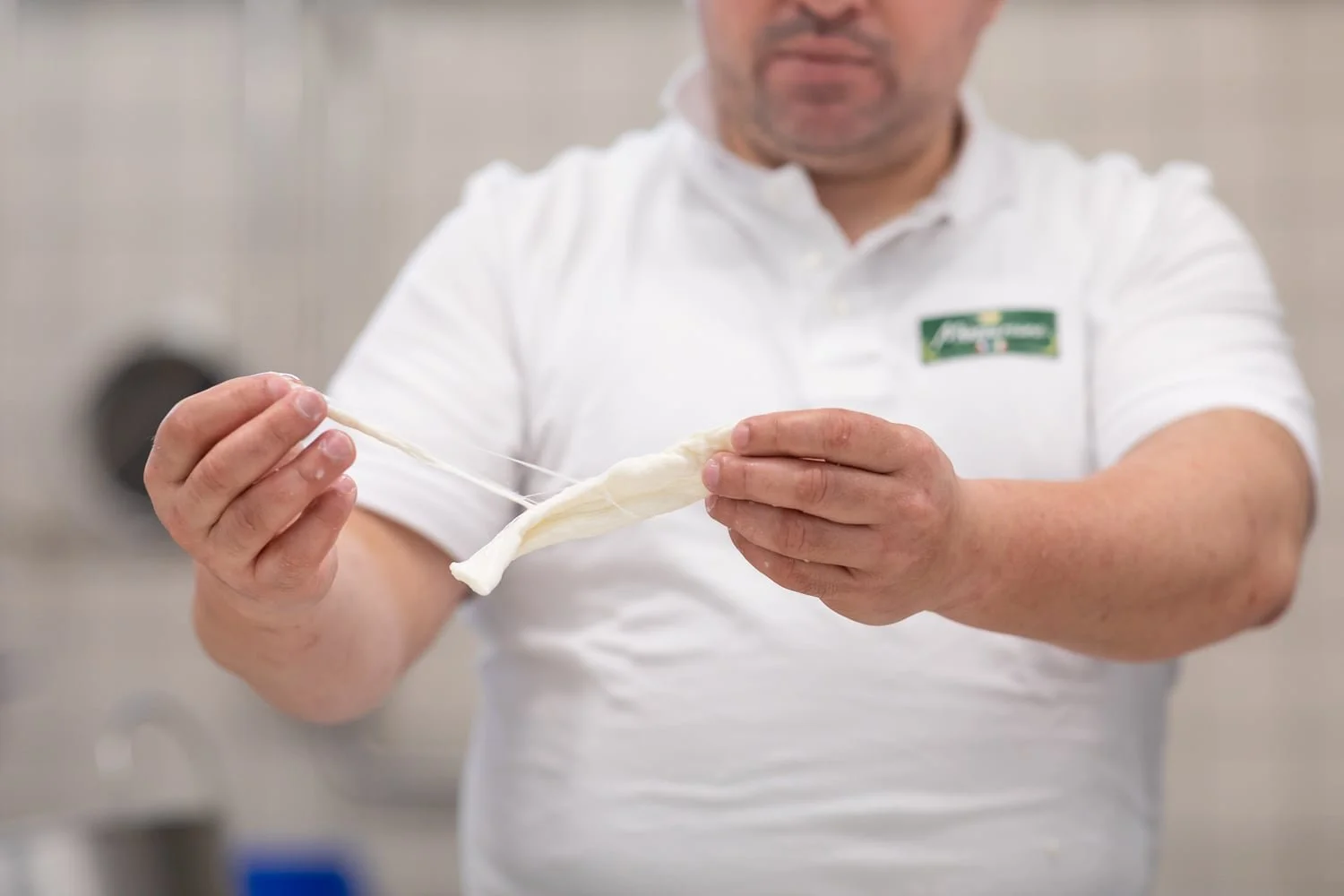Filage de la mozzarella artisanale dans l' atelier Mozzareine