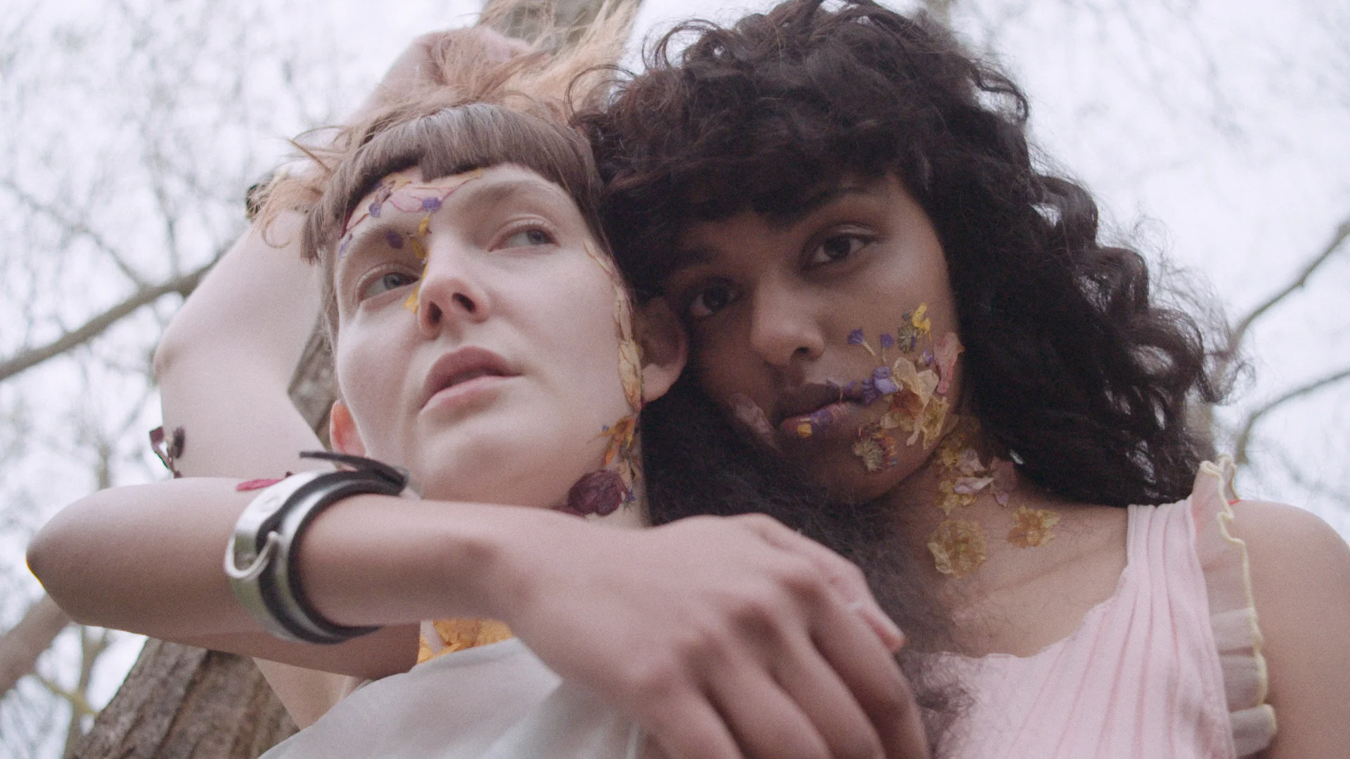 particular-flowers-still08.jpg