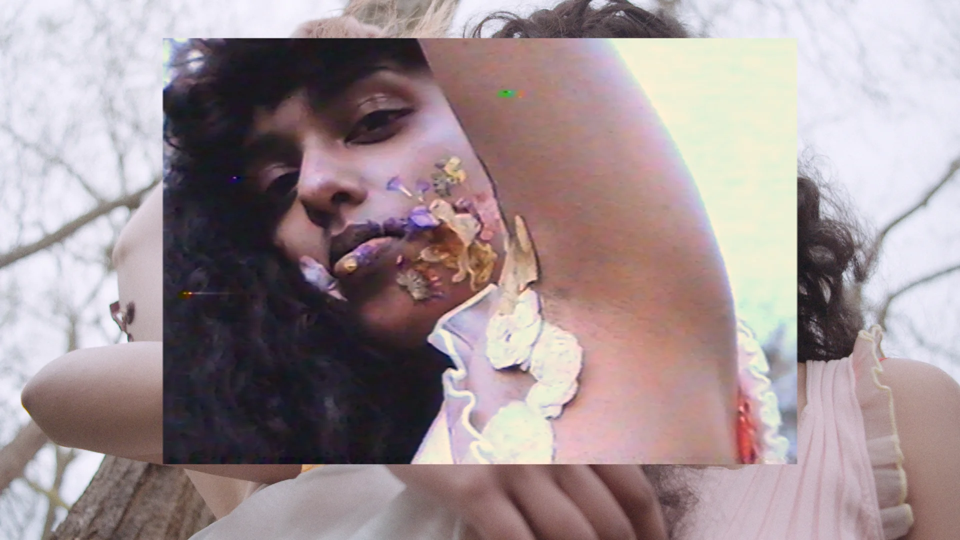 particular-flowers-still03.jpg