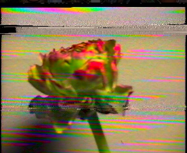 Screen Shot 2018-11-06 at 10.23.52.png