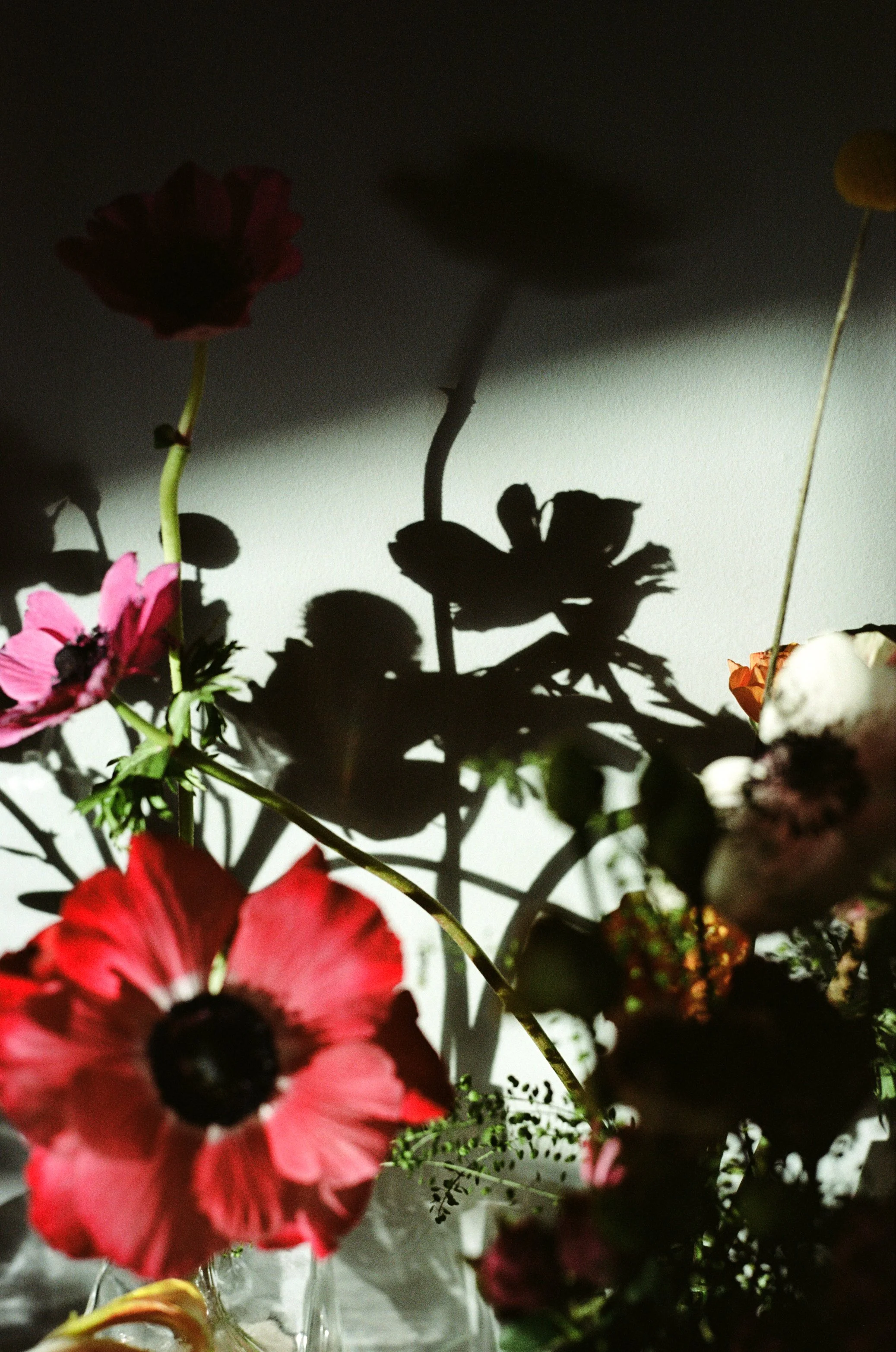 ©AsiaWerbel_flowersfinals 26.jpg