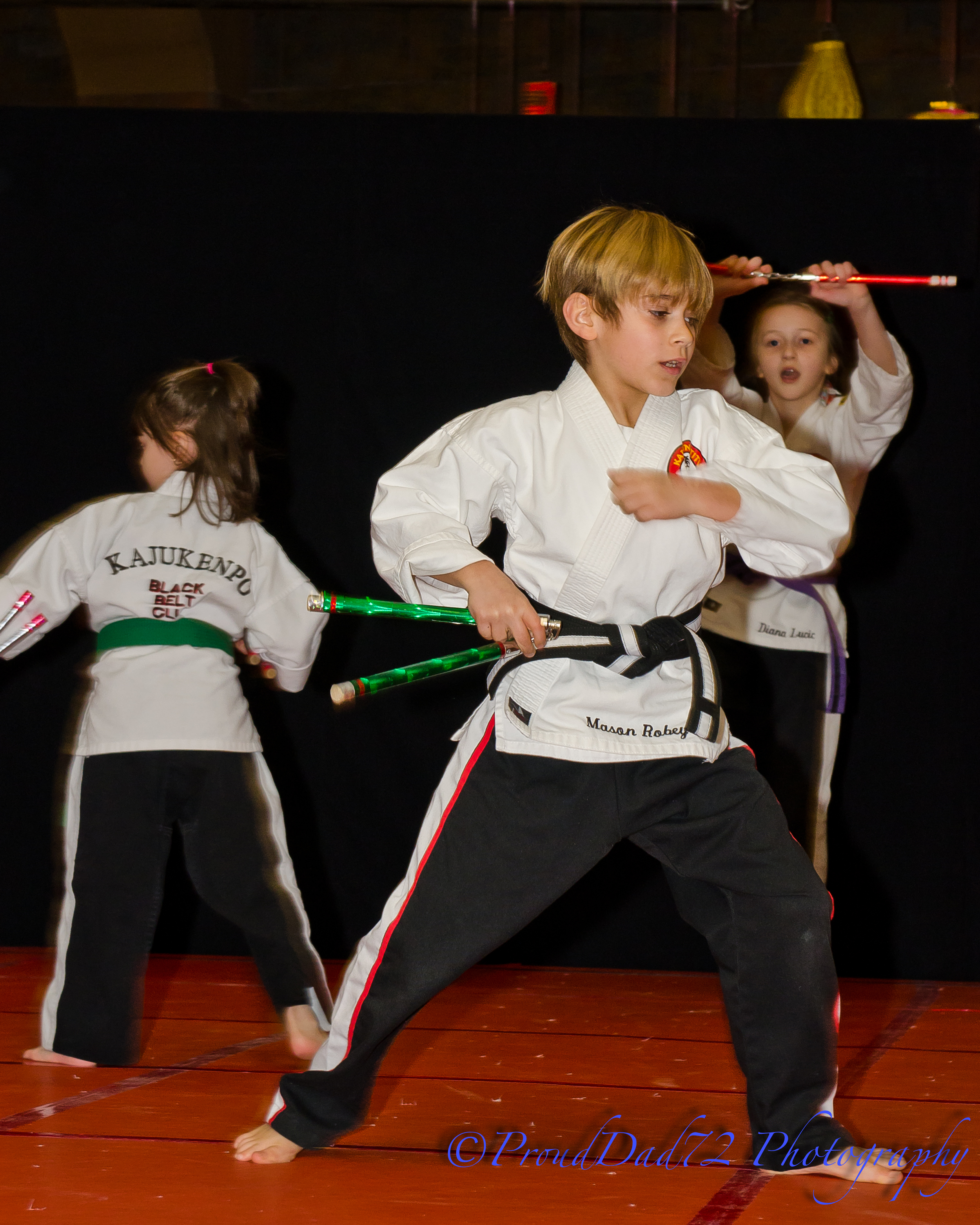 karate1-21-2012-1.jpg