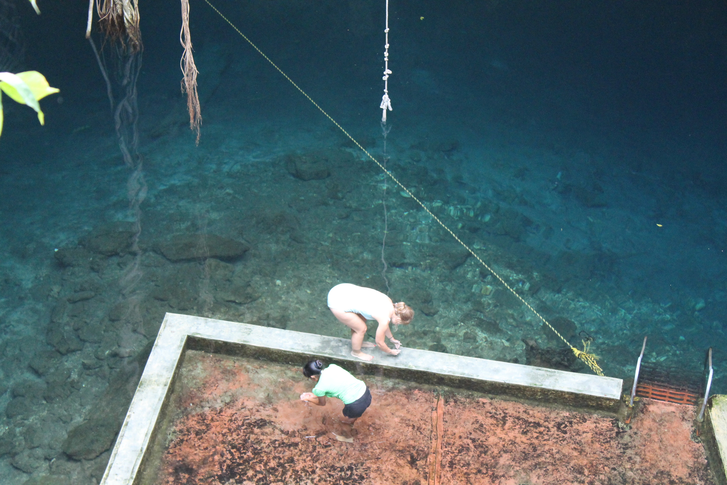 Looking down at cenote #2