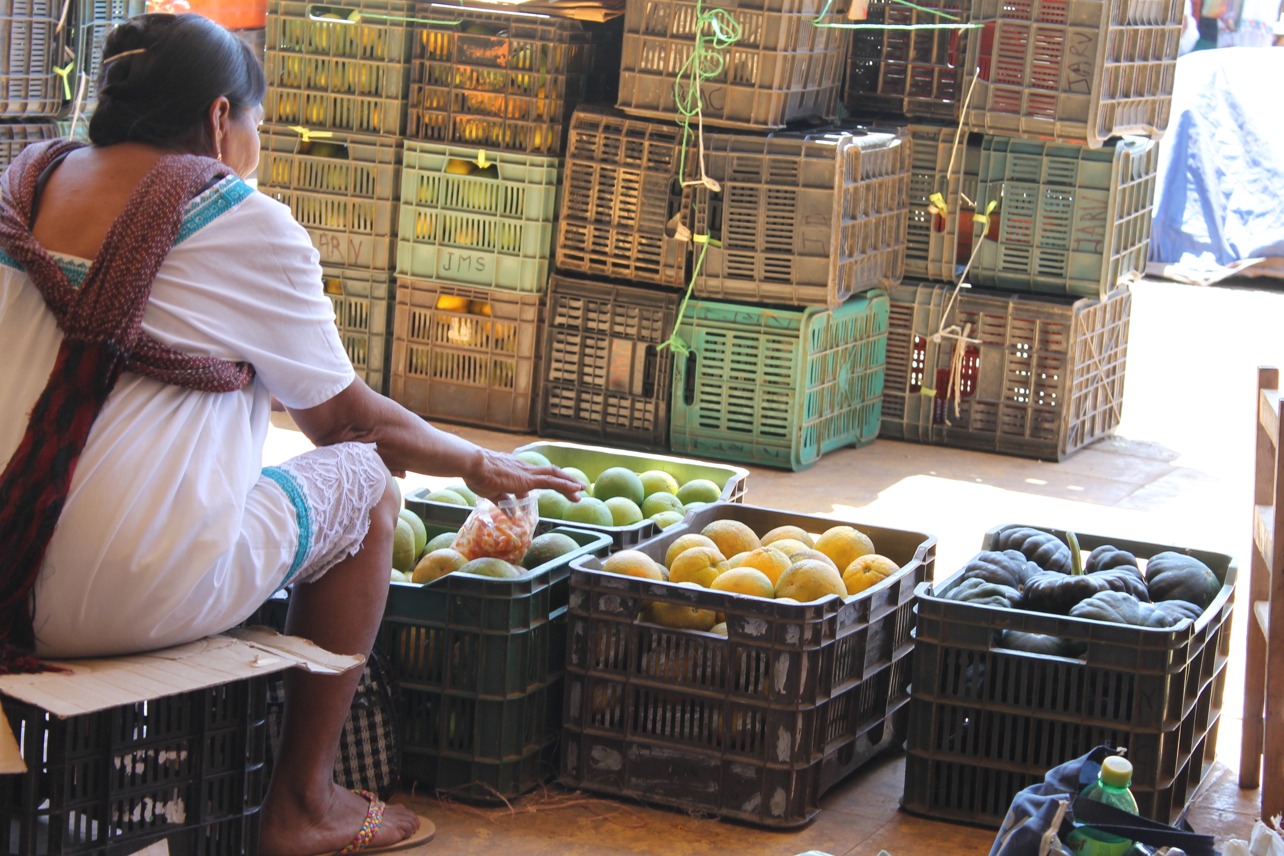 Fruit Vendor in Oxcutzcab