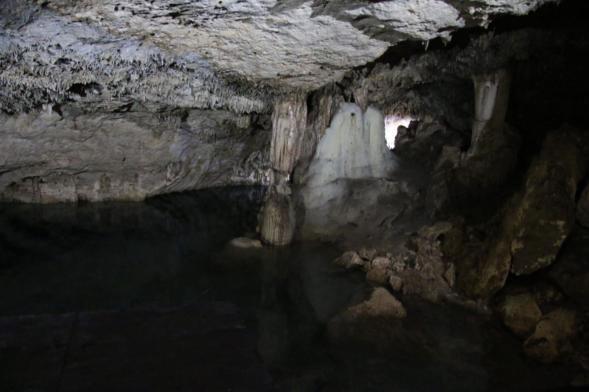 The cenote is dark and peaceful place. No bats, no swallows, no snakes. The water is deliciously refreshing.