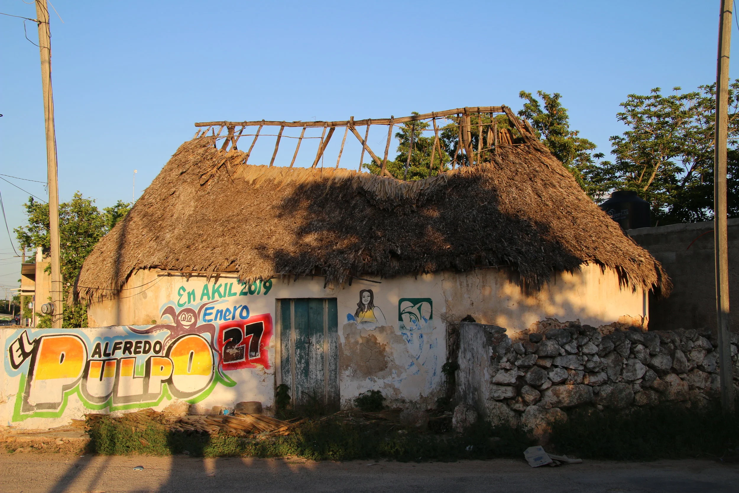  Another choza, this one a little run-down 