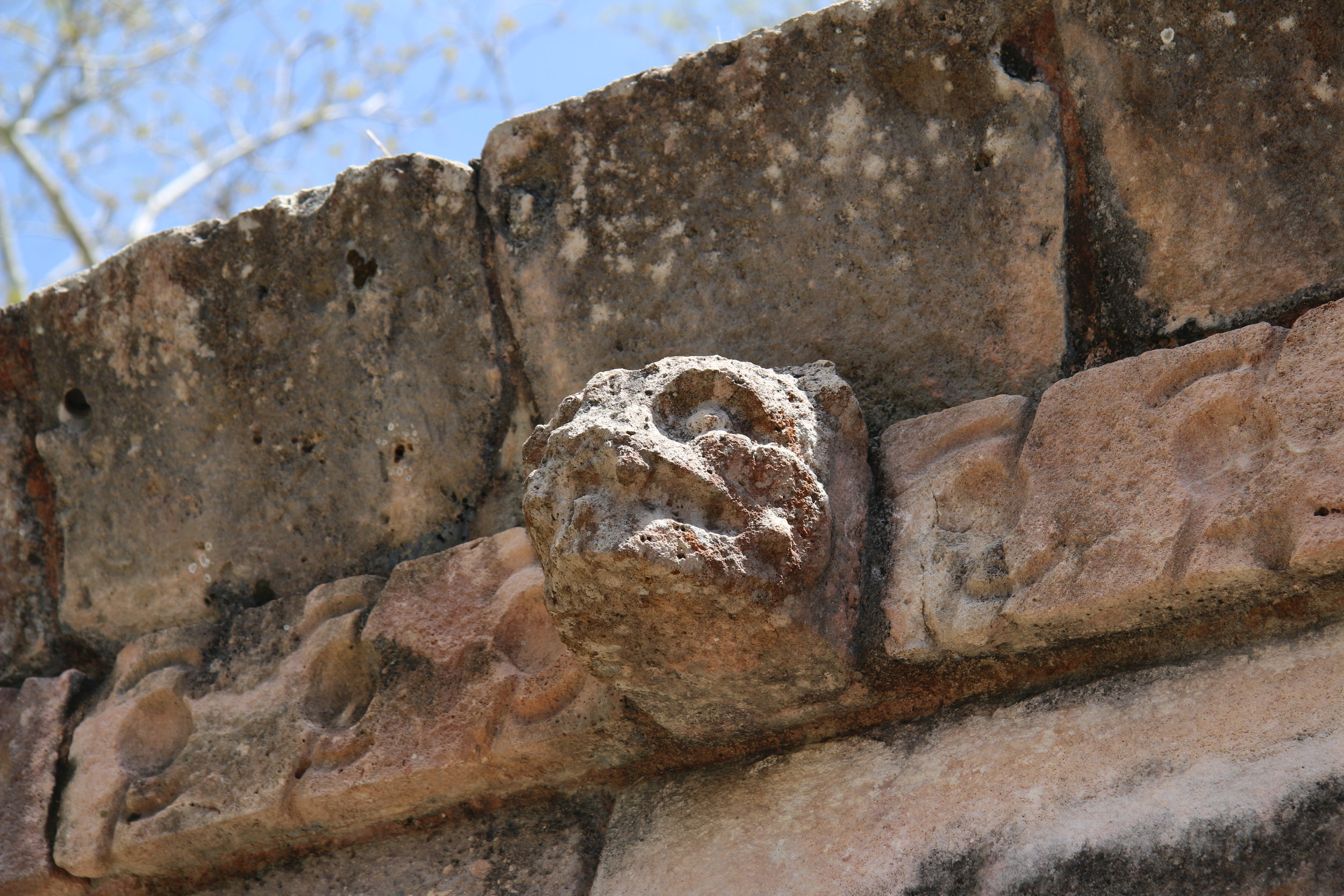  A jaguar head in stone 
