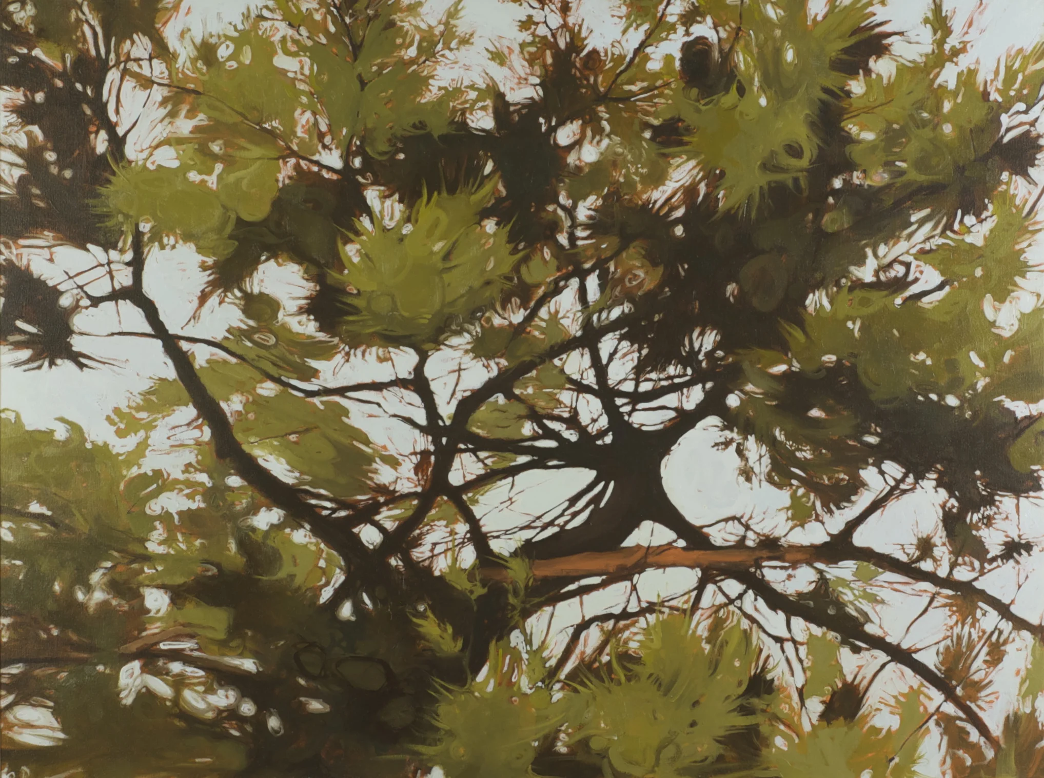 03_treetops.jpg