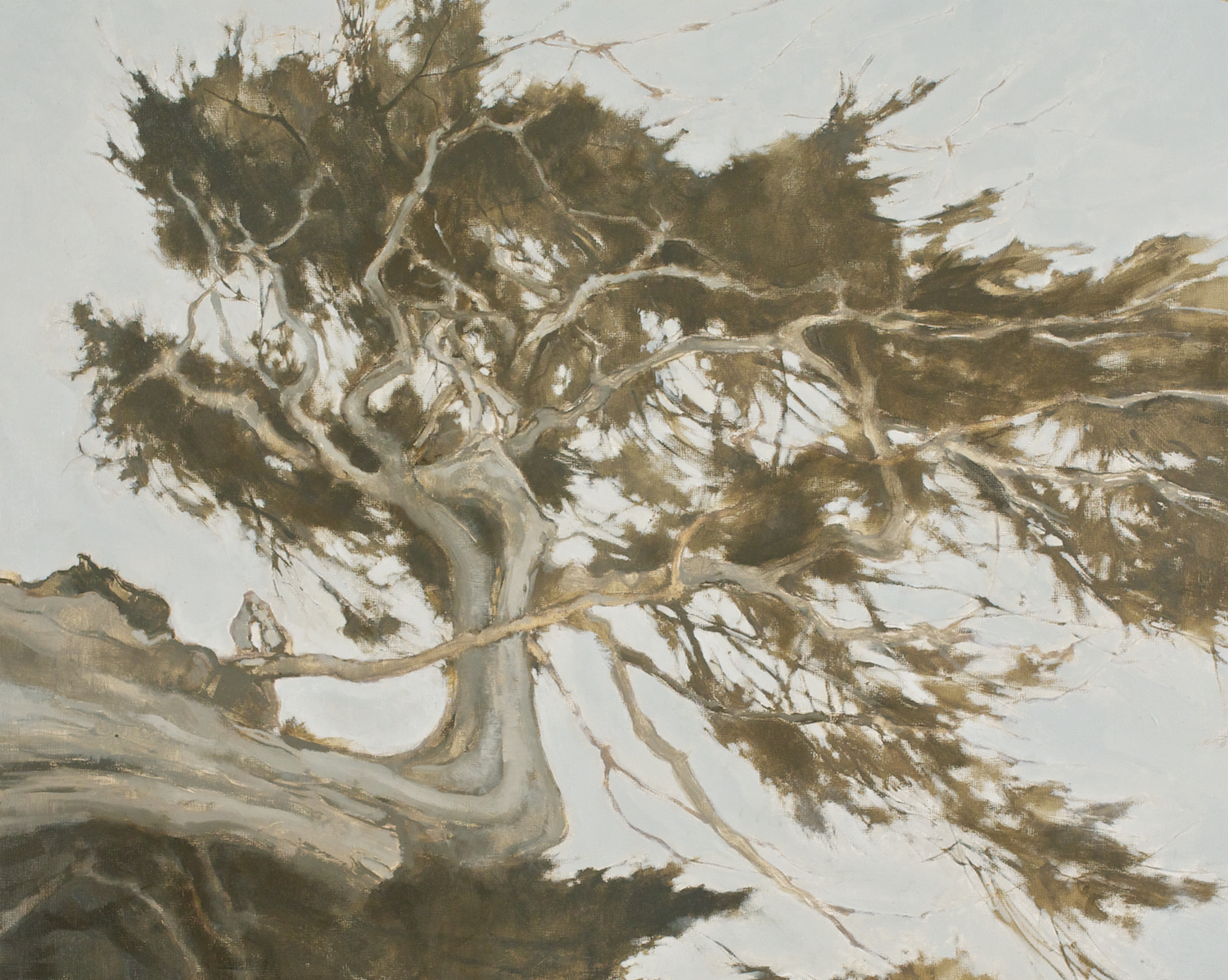 Fogging Up (study)