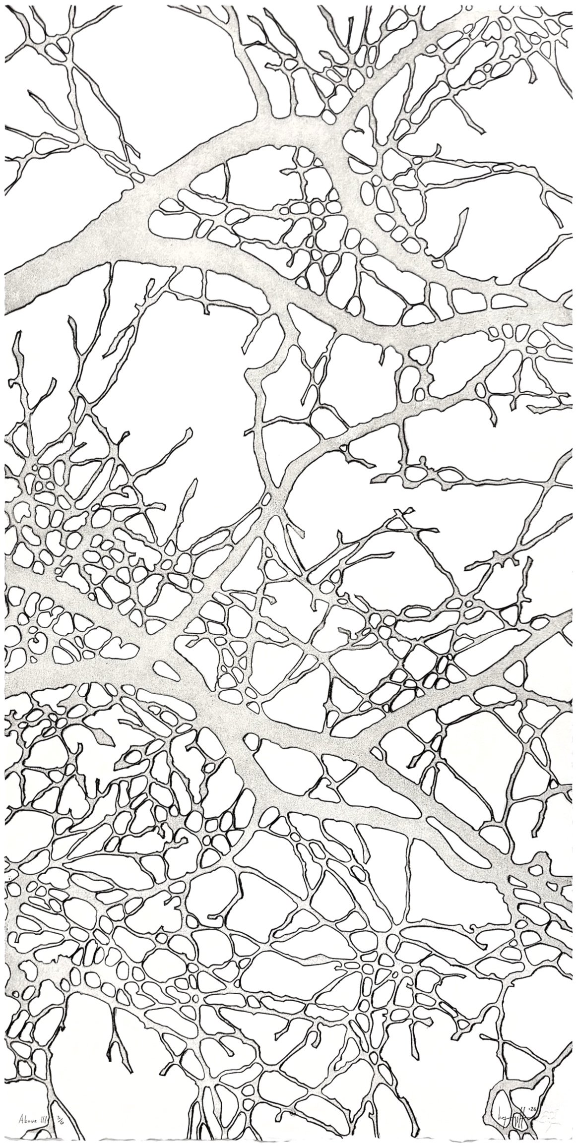 "Above III",        2026,        collagraph, 40" x 22"