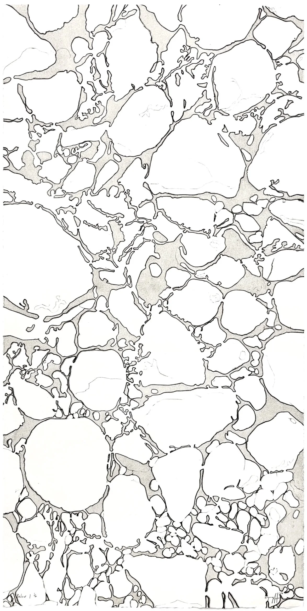 "Below I", 40" x 22", edition of 6
