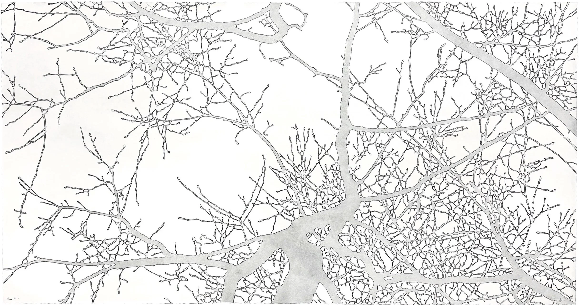 "Above V", 42" x 80", edition of 4