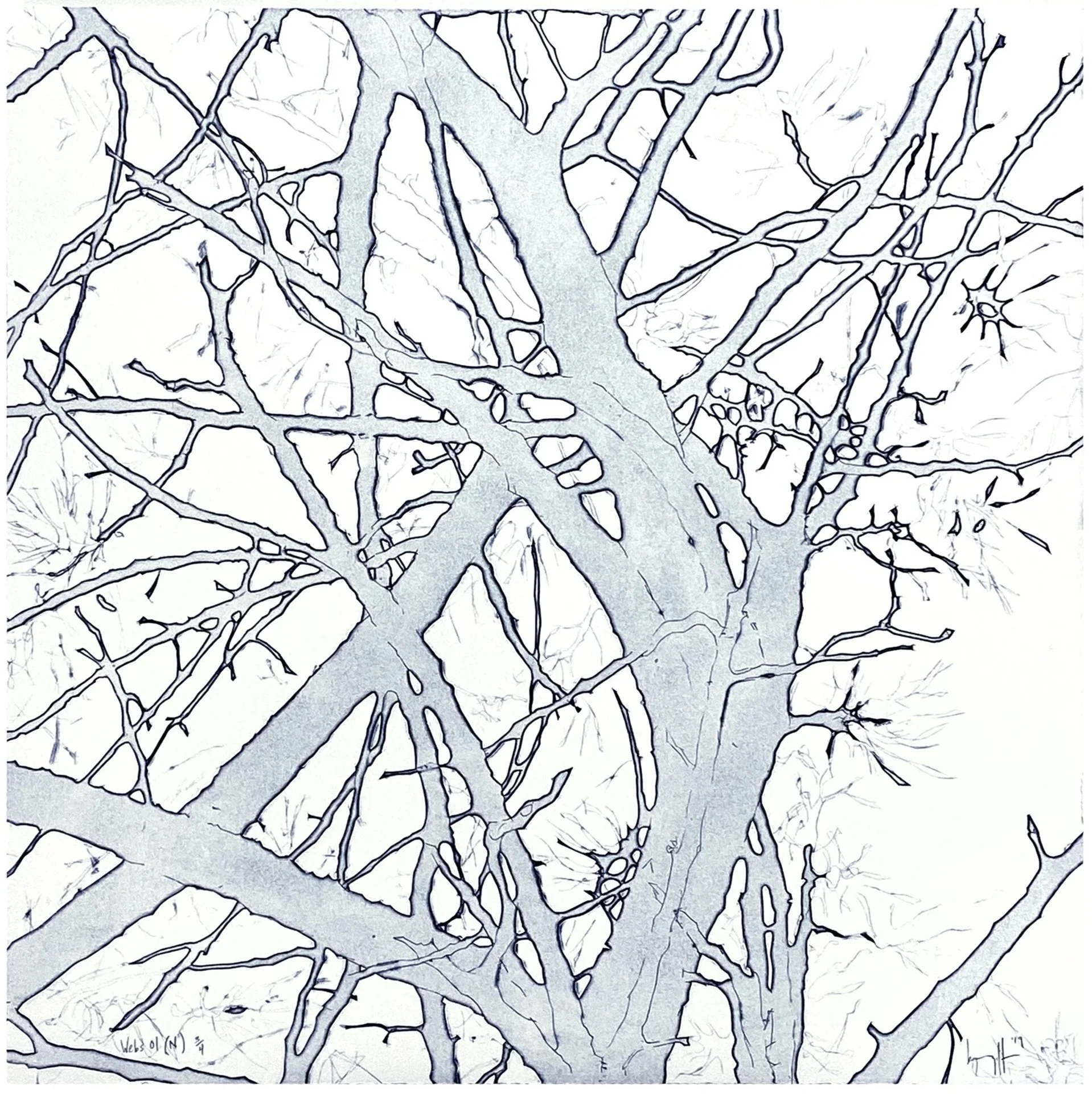 "Webs 01 (N)", 20" x 20", edition of 4
