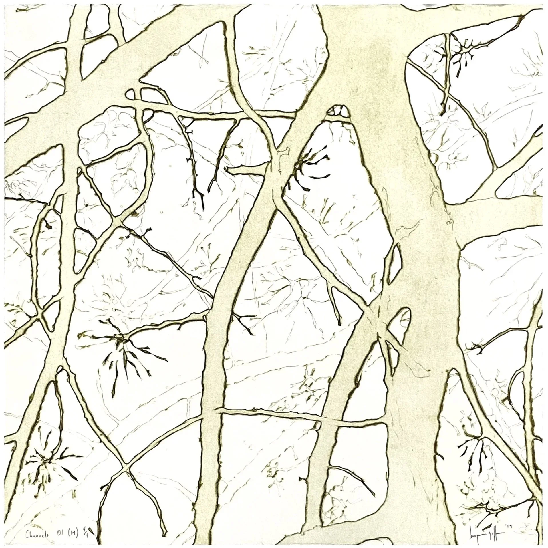"Channels 01 (M)", 20" x 20", edition of 4