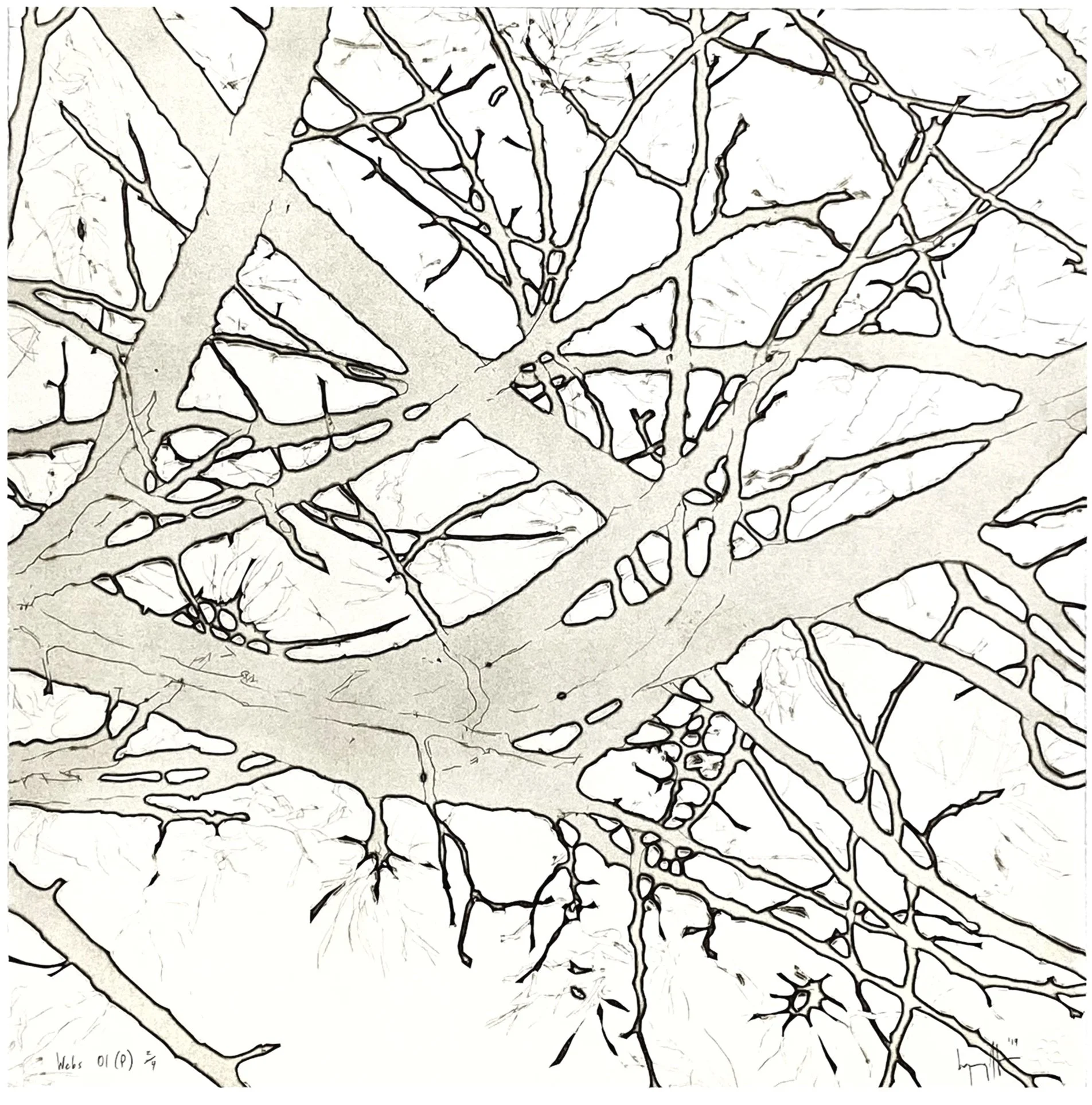 "Webs 01 (P)", 20" x 20", edition of 4