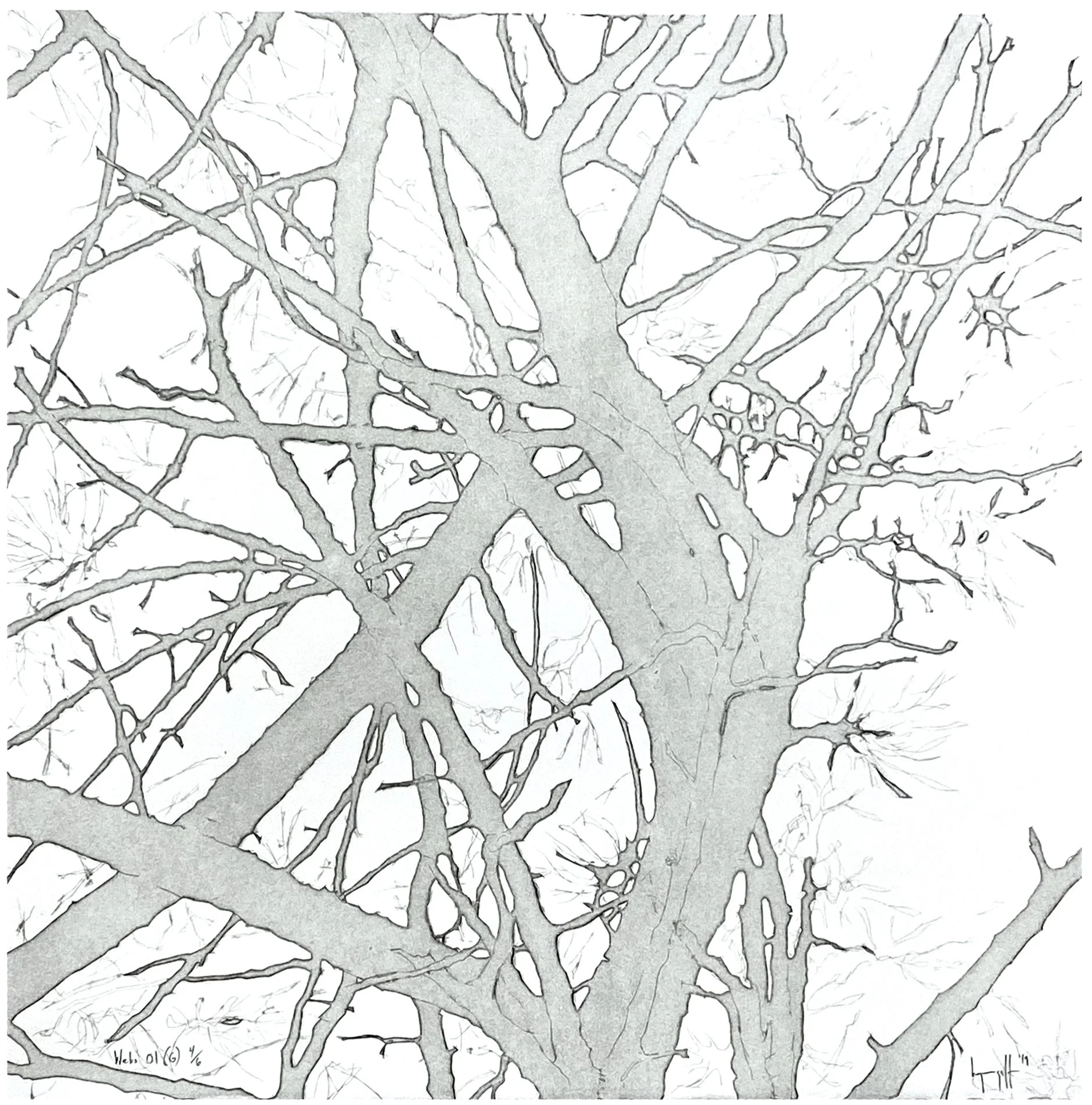 "Webs 01 (G)", 20" x 20", edition of 6