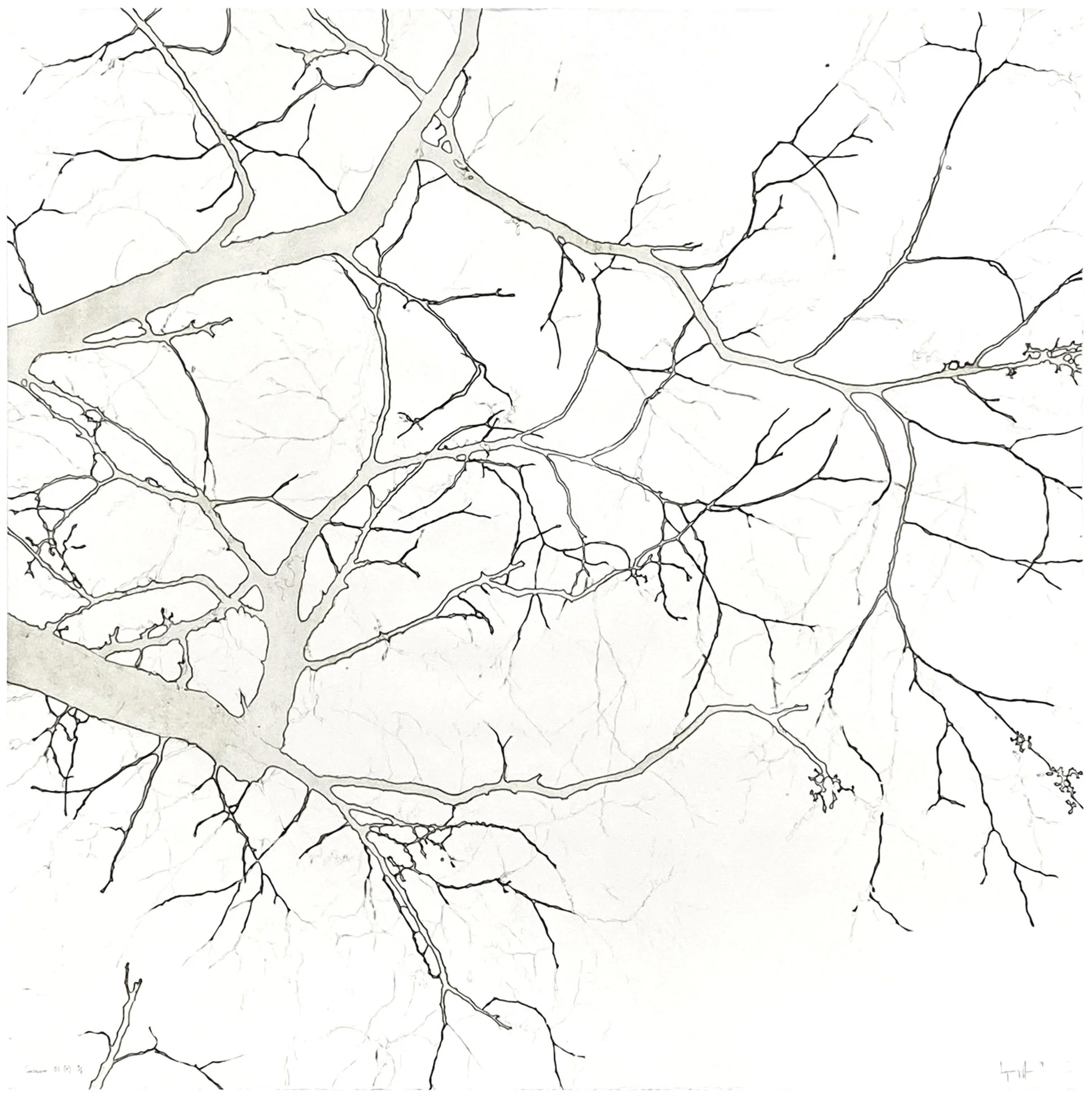 "Gossamer 01 (P)", 42" x 42", edition of 4