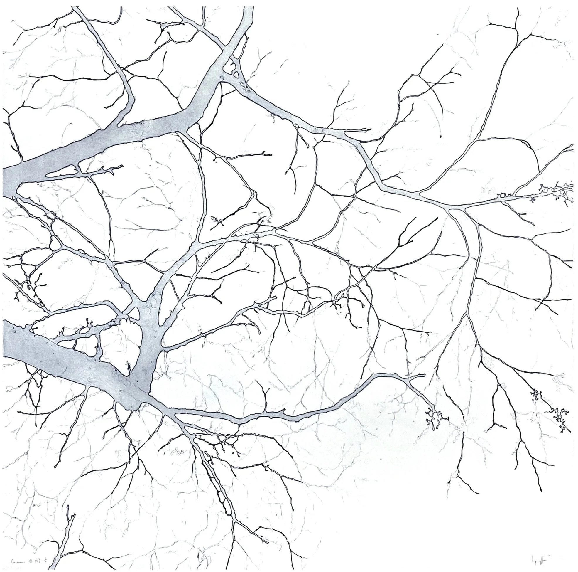 "Gossamer 01 (N)", 42" x 42", edition of 4