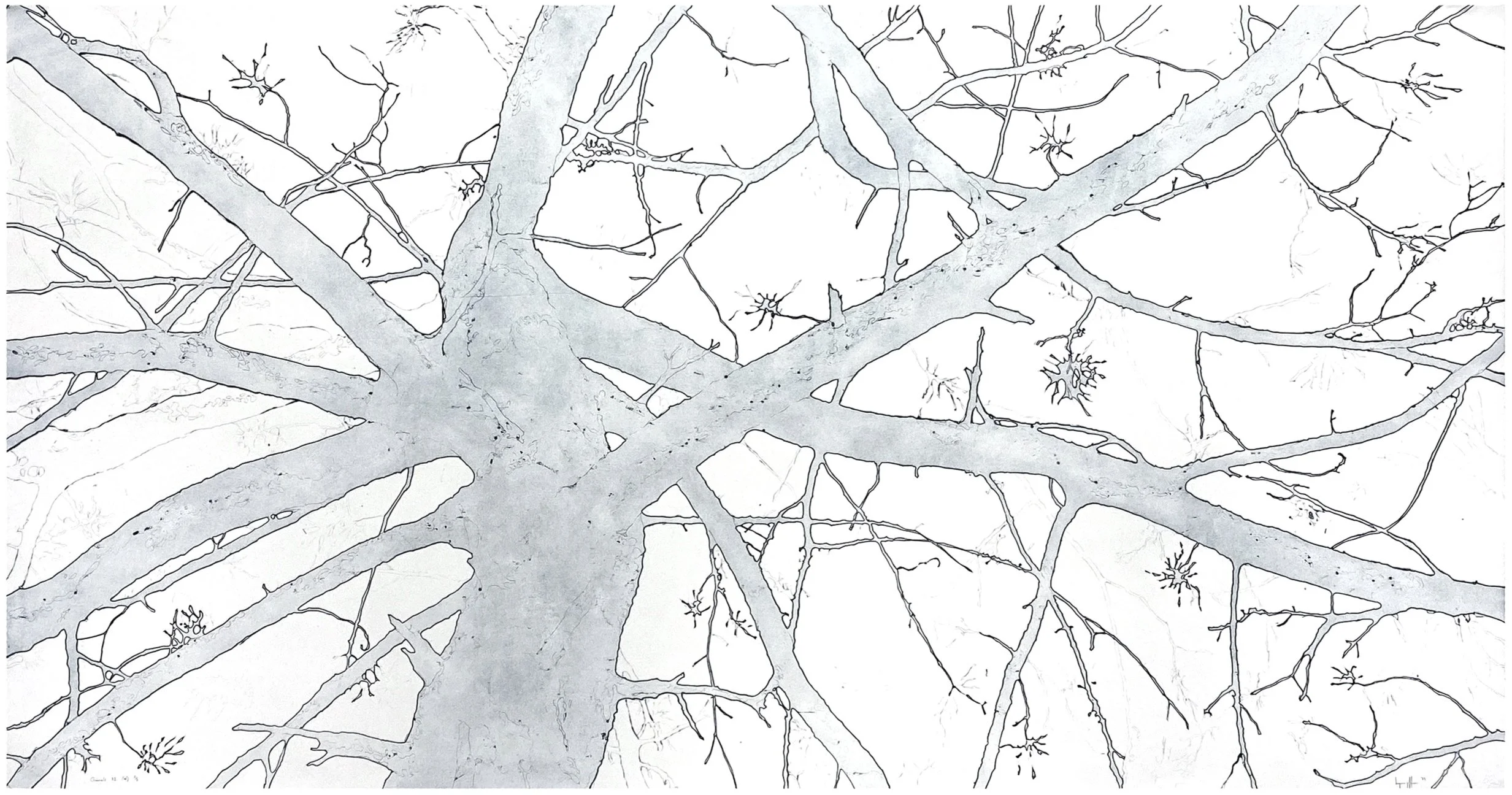 "Channels 02 (N)", 42" x 80", edition of 2